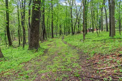 952 Bush, Loyalhanna, PA 15681 - Photo 26