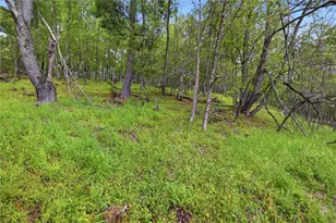 2258 Copper Valley Rd, Plumcreek Township, PA 15774 - Photo 32