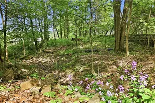 2951 Hann Hill Rd, Hermitage, PA 16148 - Photo 22