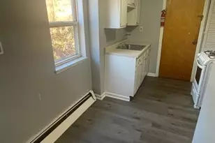 204 Minooka St, Pittsburgh, PA 15210 - Photo 2