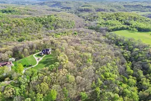 544 Green Parrot Ln, Fawn Township, PA 15065 - Photo 46