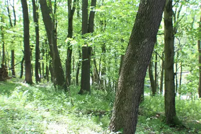 Lot Wexford Bayne Road, Marshall, PA 15090 - Photo 18