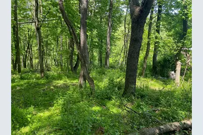 Lot Wexford Bayne Road, Marshall, PA 15090 - Photo 4