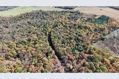 50 Acres Along Bird Lane, Pine Township-Hellwood, PA 15957 - Photo 10