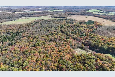 50 Acres Along Bird Lane, Pine Township-Hellwood, PA 15957 - Photo 12