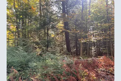 50 Acres Along Bird Lane, Pine Township-Hellwood, PA 15957 - Photo 16