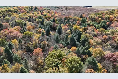 50 Acres Along Bird Lane, Pine Township-Hellwood, PA 15957 - Photo 6