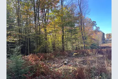 50 Acres Along Bird Lane, Pine Township-Hellwood, PA 15957 - Photo 18