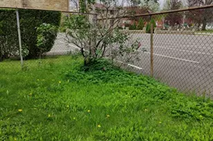 504 Cherry St, Titusville, PA 16354 - Photo 6