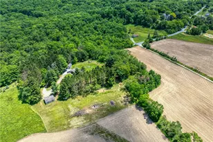 547 McKinley Rd, Big Beaver, PA 16115 - Photo 42