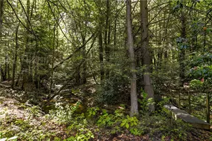 605 Laurel Falls Rd, Elk Lick Township, PA 15552 - Photo 36