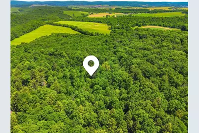 605 Laurel Falls Road, Elk Lick Township, PA 15552 - Photo 40