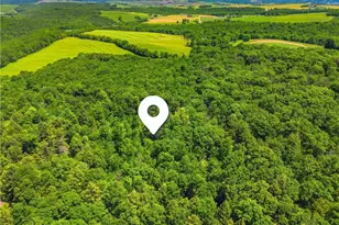 605 Laurel Falls Rd, Elk Lick Township, PA 15552 - Photo 40