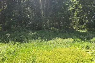 0 Bullcreek Rd, Jefferson Township, PA 16002 - Photo 1