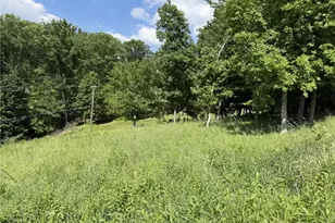 Lots 206 and 208 Old Woods Dr, Peters Township, PA 15317 - Photo 2