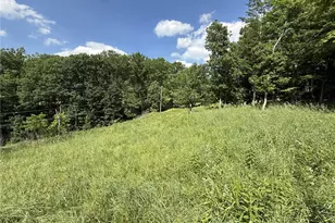 Lots 206 and 208 Old Woods Dr, Peters Township, PA 15317 - Photo 6