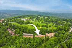 2D2 Mountain Villas, Seven Springs, PA 15622 - Photo 30