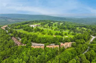 2D2 Mountain Villas, Seven Springs, PA 15622 - Photo 32