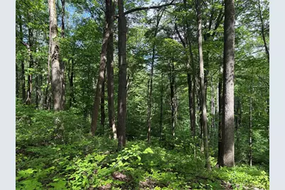 Lot 1C Cottonwood Rd, Bullskin Township, PA 15610 - Photo 4