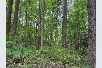 Lot 1C Cottonwood Rd, Bullskin Township, PA 15610 - Photo 10