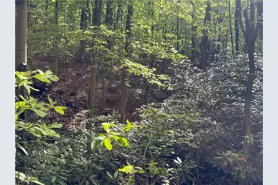 Lot 1C Cottonwood Rd, Bullskin Township, PA 15610 - Photo 14