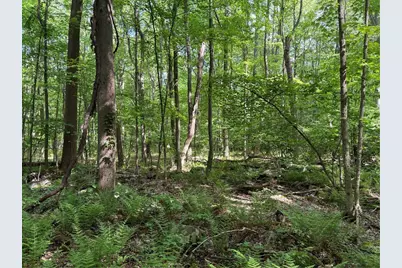 Lot 1C Cottonwood Rd, Bullskin Township, PA 15610 - Photo 8