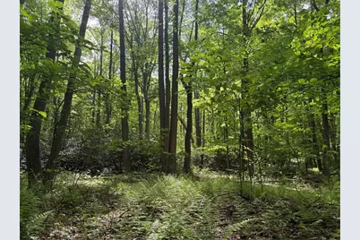 Lot 1C Cottonwood Rd, Bullskin Township, PA 15610 - Photo 12