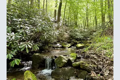 Lot 1C Cottonwood Rd, Bullskin Township, PA 15610 - Photo 1