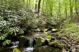 Lot 1C Cottonwood Rd, Bullskin Township, PA 15610 - Photo 1