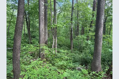 Lot 1C Cottonwood Rd, Bullskin Township, PA 15610 - Photo 2