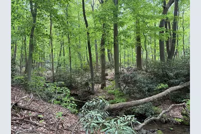 Lot 1C Cottonwood Rd, Bullskin Township, PA 15610 - Photo 22