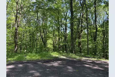 Lot 1C Cottonwood Rd, Bullskin Township, PA 15610 - Photo 24