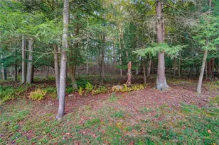 132 Hemlock Ln, E Mahoning/Marion Ctr, PA 15771 - Photo 34