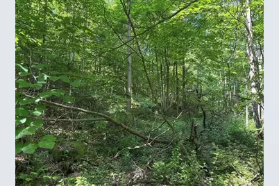 000 Fowl Hill Rd, Saltlick Township, PA 15462 - Photo 1