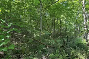 000 Fowl Hill Rd, Saltlick Township, PA 15462 - Photo 1