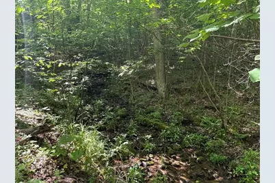 000 Fowl Hill Rd, Saltlick Township, PA 15462 - Photo 2