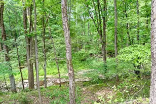 2385 River Rd, Hermitage, PA 16148 - Photo 12