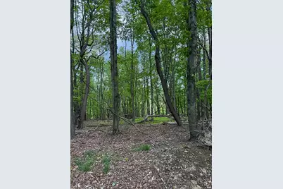 157 Todd Ln, Center Township, PA 15061 - Photo 28
