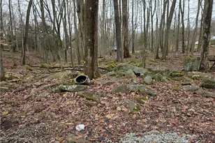 238 Solomon Temple Rd, Ligonier Township, PA 15650 - Photo 6