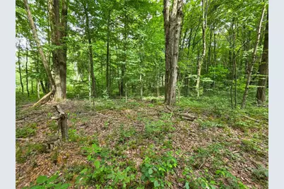 0 Fox Mine Rd, Jackson Center Boro, PA 16133 - Photo 2