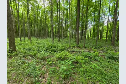 0 Fox Mine Rd, Jackson Center Boro, PA 16133 - Photo 4