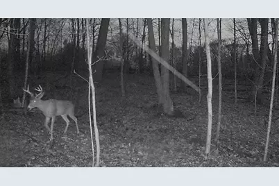 0 Campground Rd, Shenango Township, PA 16159 - Photo 4