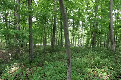 0 Campground Rd, Shenango Township, PA 16159 - Photo 10