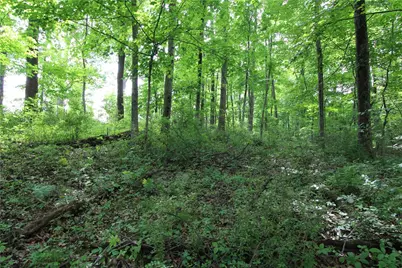 0 Campground Rd, Shenango Township, PA 16159 - Photo 12