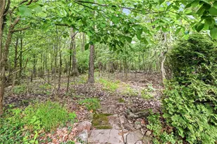 401 Robertson Rd, Hermitage, PA 16148 - Photo 42