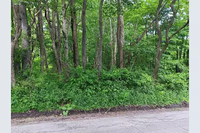 0 Pletcher Rd, Saltlick Township, PA 15490 - Photo 2