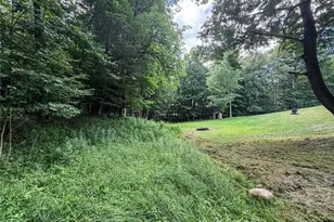 11910 Schenenberg Rd, Randolph, PA 16327 - Photo 40