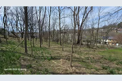 0 Shadowlawn Dr, Pittsburgh, PA 15236 - Photo 4