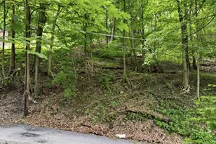 0 Valley View Dr, Cheswick, PA 15024 - Photo 4