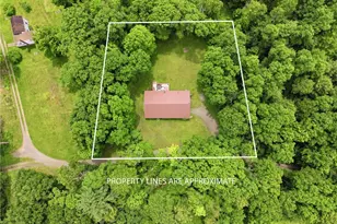 131 Squirrel Hill Rd, Elk Lick Township, PA 15552 - Photo 4